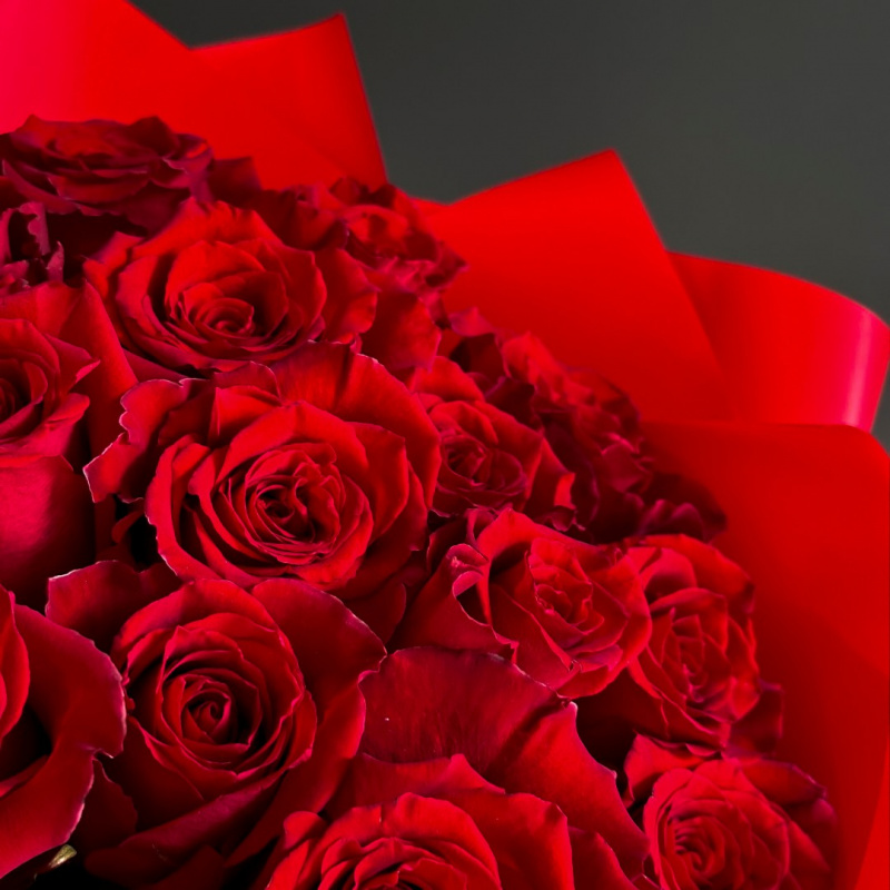 Солнечный зайчик 1